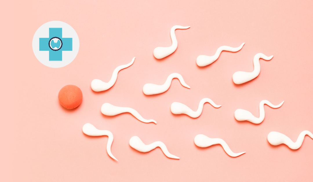 Ορμόνες & Γονιμότητα