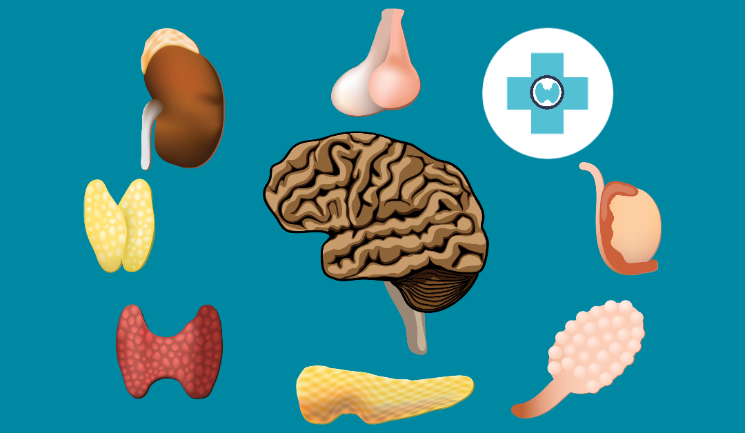 Ορμόνες – Πέντε σημάδια πως κάτι δεν πάει καλά.